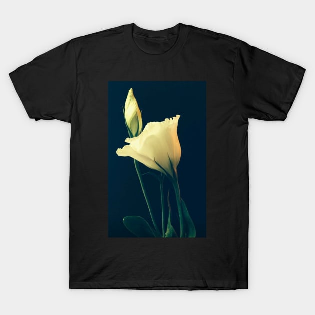 White Lisianthus the Tender Perennial Flower of Gentleness T-Shirt by Photomersion